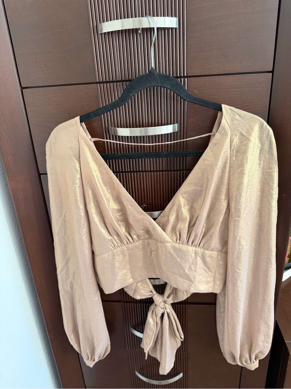 Bebe Shimmery Taupe Gold V-Neck Tie-Back Crop Top